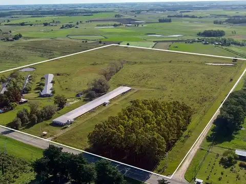 VENTA GRANJA AVÍCOLA DE 18 HECTÁREAS, SAN JACINTO