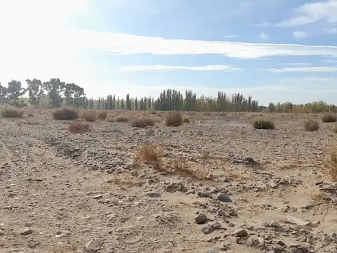 VENTA TERRENO 261 M2 FRENTE RUTA | VISTA ALEGRE
