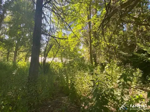 Lotes barrio Las Balsas Villa La Angostura (cód. 217)