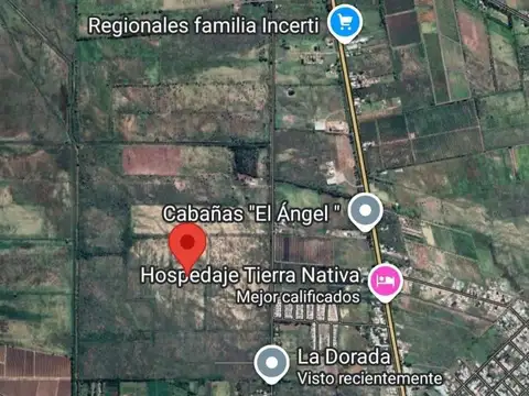 CAMPO AGRICOLA EN CAÑADA SECA - SAN RAFAEL