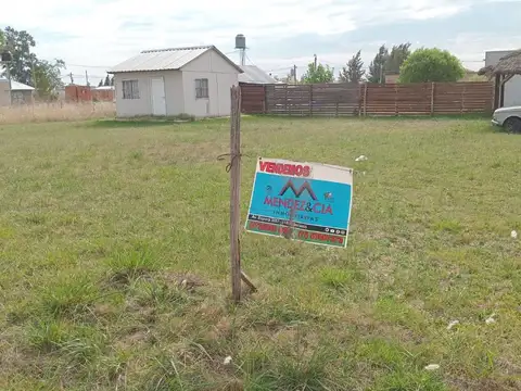 Terreno - Venta - Argentina, BRANDSEN