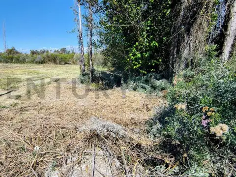 Severo del Castillo 5800, Piso 0