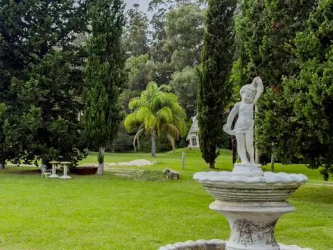 CAMPO HÉCTAREAS EN VENTA EN PUNTA INDIO