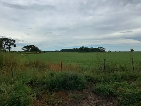 CAMPO MIXTO 385 HA CON RENTA VIGENTE - RIO PRIMERO