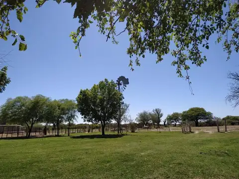 CAMPO MIXTO 385 HA CON RENTA VIGENTE - RIO PRIMERO