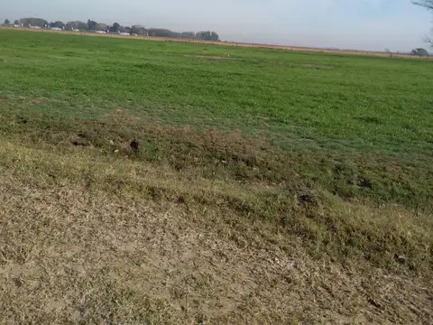 Campo en Venta de 59  ha