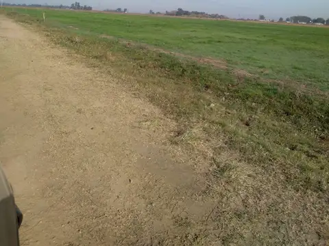 SE VENDE CAMPO DE 59HA EN SAN VICENTE