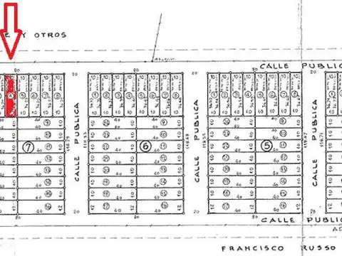Monte Flores