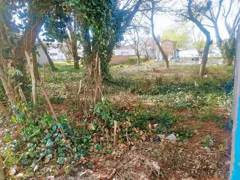 Terreno en Venta de 300,0 m2