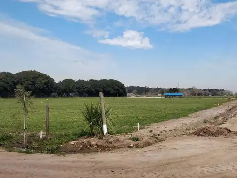 143 Y 620