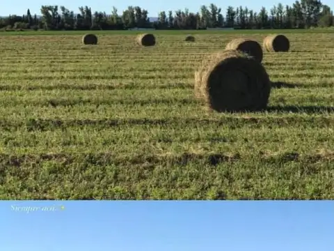 Campo en Venta de 53  ha
