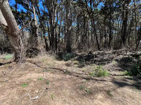 Terreno en Venta en Costa del Este, USD 65.000