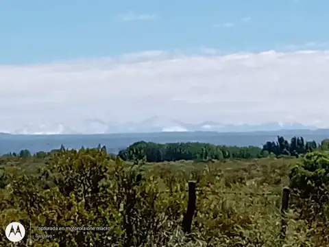 VENTA FINCA CON GALPON CUADRO BENEGAS SAN RAFAEL