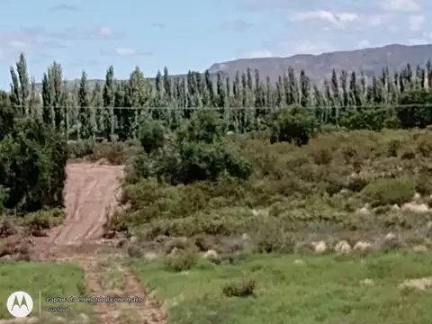 La Loma 100