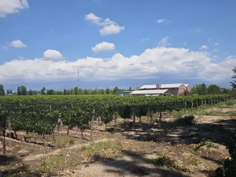 Terreno en Venta en Tunuyan, USD 587.000