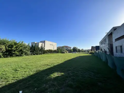 Av Arturo Illia al 1500