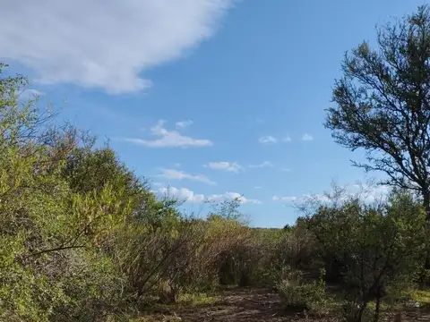Campo en Cienaga De Allende