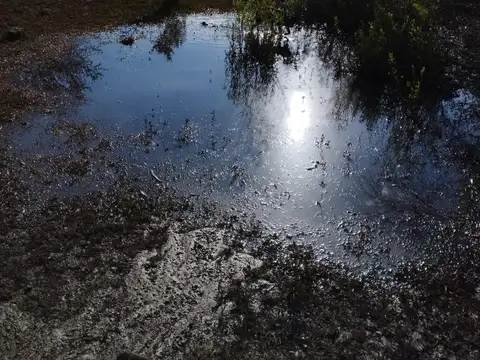 Camino Público S 307 Ciénaga de Allende