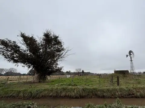 CAMPO EN VENTA EN BRAGADO