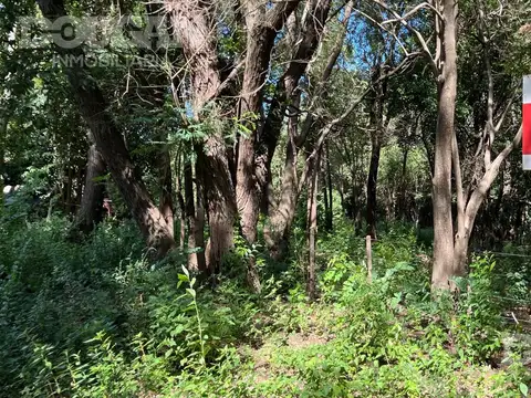 Terreno en Venta de 550,0 m2