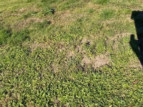 Terreno en Venta de 508,0 m2