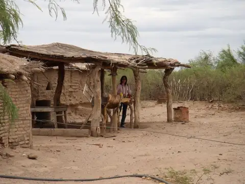 SE VENDE CAMPOS EN SAN MARTIN - CAPAYAN - RUTA 33