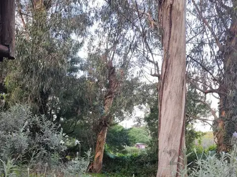 Casa en Venta 2025 años