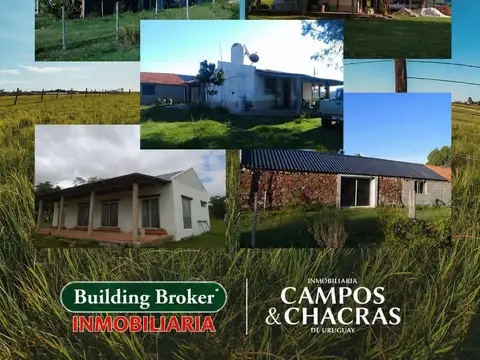 Campo en Venta de 1.106  ha