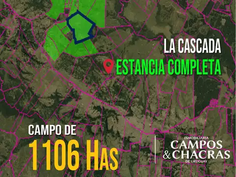 Ruta 5 y 30
