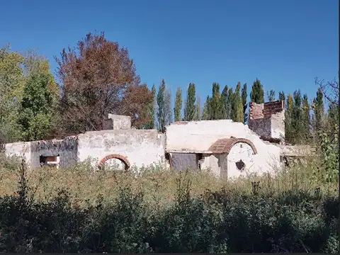 VENTA CHACRA 4,2 HAS CENTENARIO