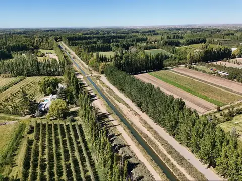 VENTA CHACRA 4,2 HAS CENTENARIO