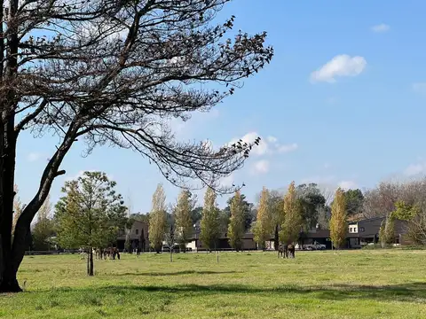 Terreno en General Rodriguez