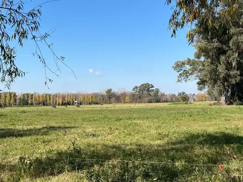 Terreno en Venta 225  mts Frente