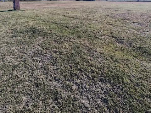 Terreno en Venta de 800,0 m2