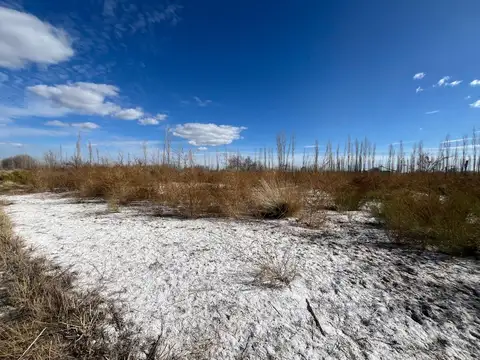 Terreno en Venta de 1716,0 m2