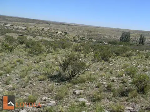 Campo en venta a 2000m de la Ruta 41, Las Chacras San Luis
