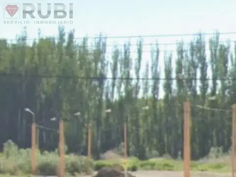 Terreno en Venta de 366,0 m2