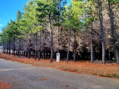 Terreno en Venta, FOT 158