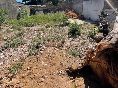 Terreno en Alquiler de 382,0 m2