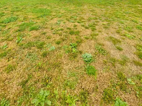 Quinta en Venta en Haras Santa Maria, USD 205.000