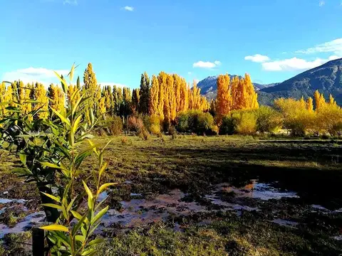 Campo - Venta - Argentina, Los Cipreses