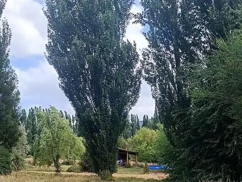 Campo - Venta - Argentina, Los Cipreses
