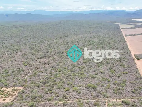 Finca de 260 has en venta en General Pizarro, Anta, Salta