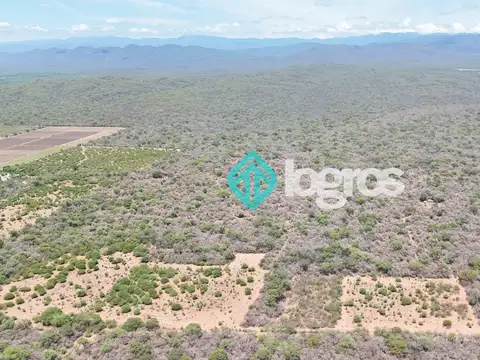 Finca de 260 has en venta en General Pizarro, Anta, Salta