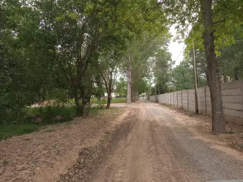 Terreno en Venta 10  mts Frente