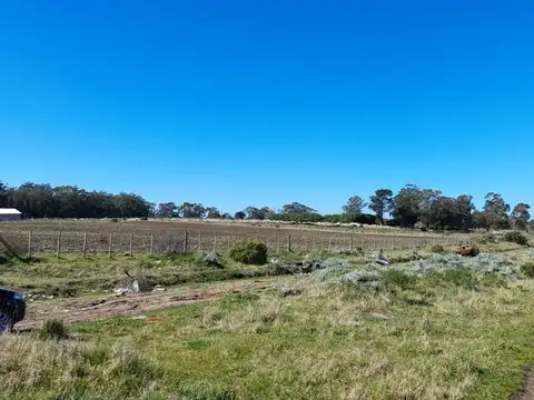 VENTA LOTE 23.000m2 ZONA SUR MAR DEL PLATA