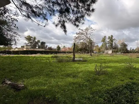 Venta de lotes en bella vista