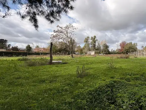 Terreno en Venta de 1517,0 m2