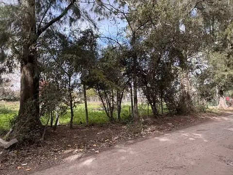 Terreno en Venta en Bella Vista, USD 219.000