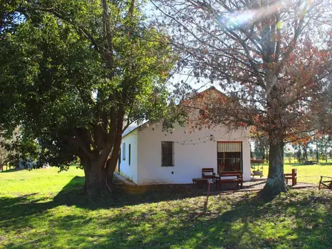 CHACRA EN VENTA EN URIBELARREA CON CASA